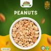 Roasted Salted Peanuts (250gm Pack)