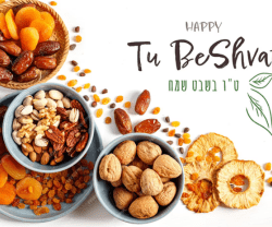 Dry Fruits Delight: Navigating Prices and Options Online